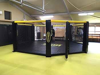 MMAケージ HTB1cBCKLOrpK1RjSZFhq6xSdXXaQ.jpg